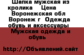 Шапка мужская из кролика  › Цена ­ 400 - Воронежская обл., Воронеж г. Одежда, обувь и аксессуары » Мужская одежда и обувь   